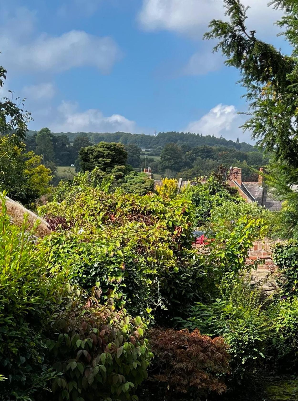 Bell Cottage By Ludlow Castle With Onsite Parking Екстериор снимка
